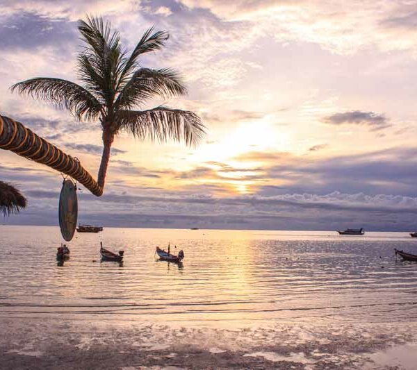 Fam Trip nach Koh Tao