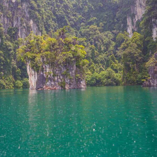 Team Ausflug in den Khao Sok National Park