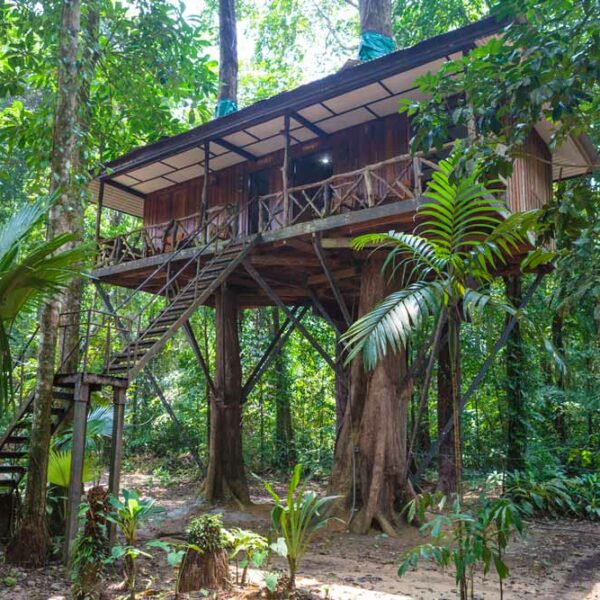 Team Ausflug in den Khao Sok National Park