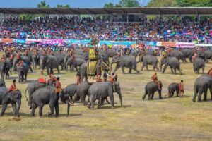 Aufmarsch der gepanzerten Elefanten von Surin beim berühmten Elefantenfest