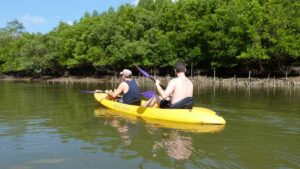 Touristen mit dem Kayak im Mangrovenwald bei Krabi