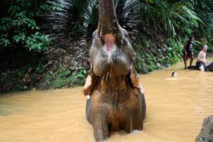 Koh Chang Reiseführer