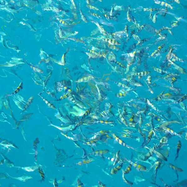 Koh Chang Reiseninformationen