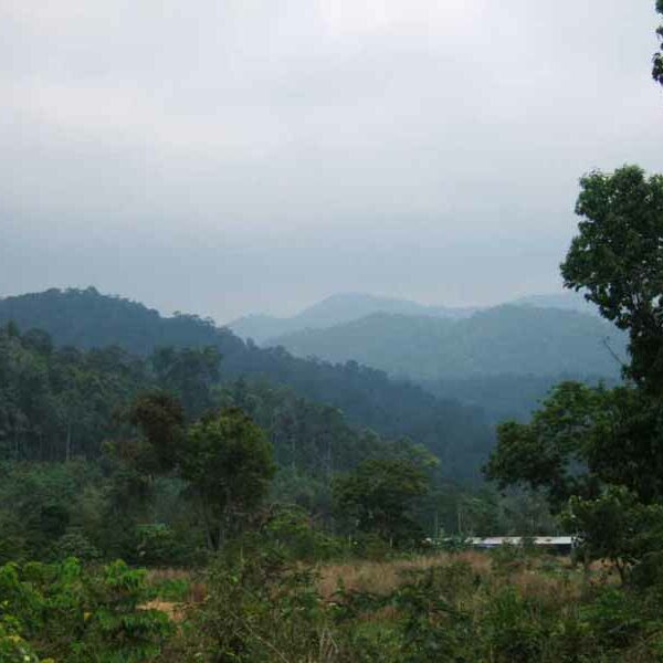 Koh Chang Reiseninformationen