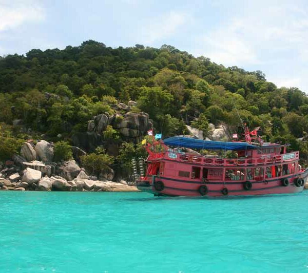 koh tao