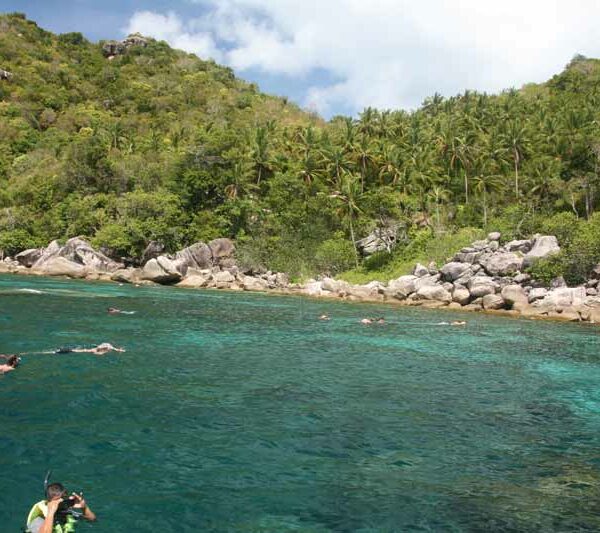 koh tao