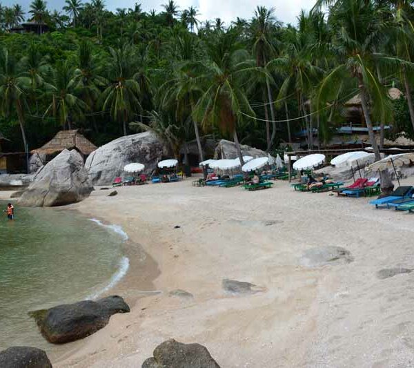 koh tao