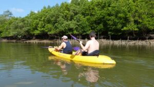 Eine Kayak Tour in Krabi durch die Mangroven ist sehr empfehelnswert