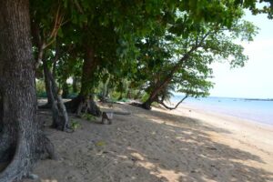 Der Strand von Koh Libong, Ihr Inselhopping Erlebnis