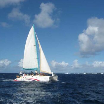 Segelboot der Phuket regatta