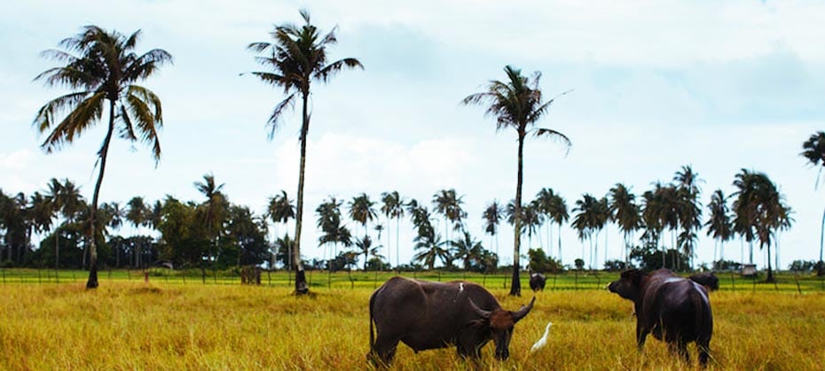 koh sukorn, inselhopping andamanensee