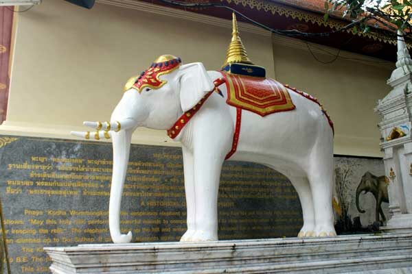 Weißer Elefant, Wat Doi Suthep, Chiang Mai, Thailand