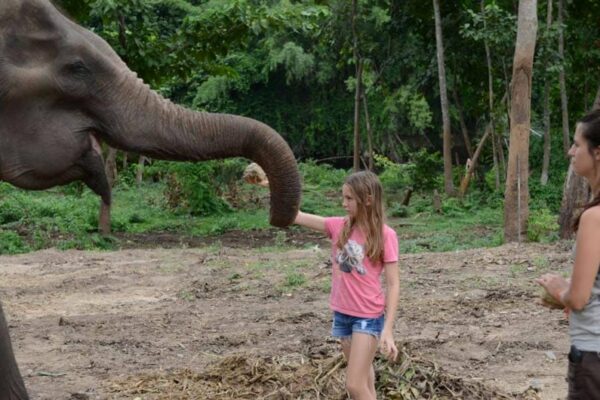 Elephants World Kanchanaburi