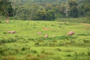 Kuiburi Nationalpark Südthailand Rundreise