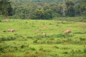 Kuiburi Nationalpark Südthailand Rundreise