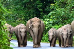 Kui Buri Nationalpark Thailand, Badeurlaub Koh Talu