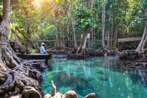 Emerald Pool Krabi rundreise Trang