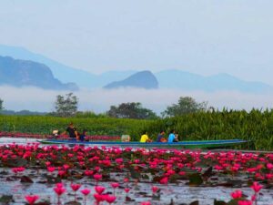 Thale Noi - Krabi Rundreise