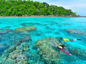 Lernen Sie heute die traumhafte Unterwasserwelt der Surin oder Similan Inseln kennen.