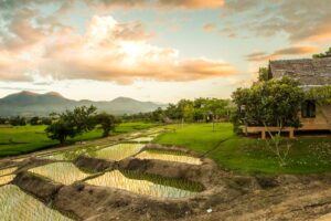 Reisfeld in Pai, Mae Hong Son