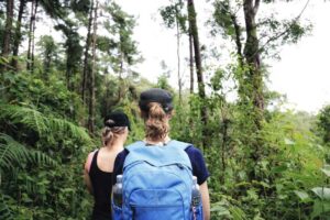 Trekking Gruppe auf dem Doi Pui Trekking in Chiang Mai