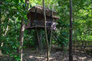 Baumhaus im Khao Sok Nationalpark