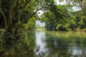 Der Sok River im Khao Sok Nationalpark