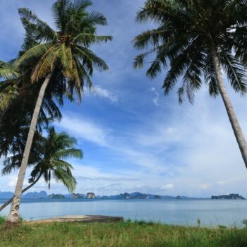 Sandbox Reise zu den Kokosnusspalmen am Meer, Koh Yao Noi, Phang Nga, Thailand