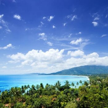 die Insel Koh Samui mit ihren Palmen gesäumten Stränden