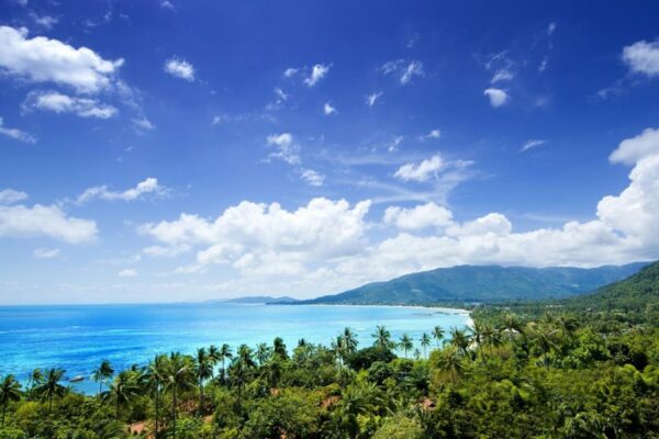 die Insel Koh Samui mit ihren Palmen gesäumten Stränden