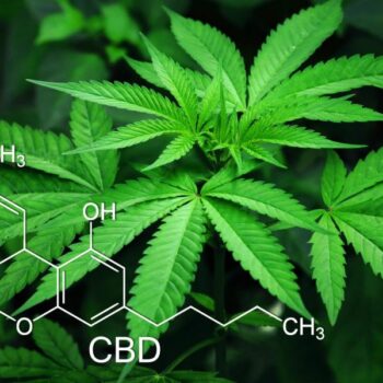 In Thailand wurde Cannabis legalisiert.