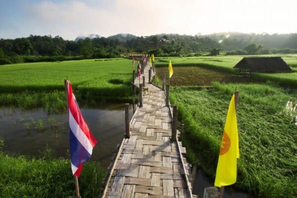 Thailands Norden baut die Terrassenfelder für diese Saison.