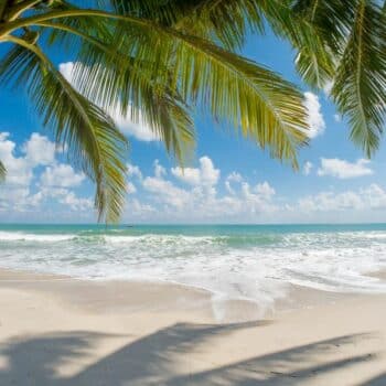 Koh Samui beantragt Sondergenehmigung für Alkoholverkauf nach der Sperrstunde