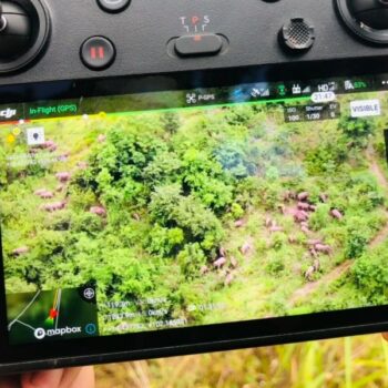über 100 gestrandete Elefanten in den Park im Nordosten Thailands zurückgekehrt