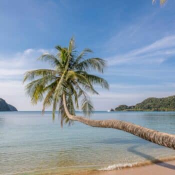 Koh Mak, die Reise zum ersten kohlenstoffarmen Reiseziel in Thailand