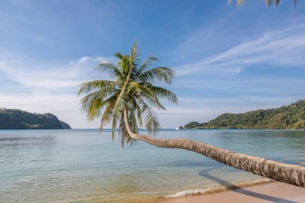 Koh Mak, die Reise zum ersten kohlenstoffarmen Reiseziel in Thailand