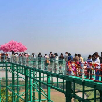 In Chiang Rai wurde ein neuer Skywalk eröffnet, der einen Panoramablick über das Goldene Dreieck bietet.