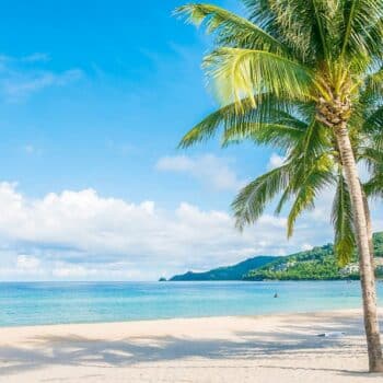 Die thailändische Tourismusbehörde (TAT) ruft alle Tauchbegeisterten dazu auf, einen offiziellen Guinness-Weltrekord zu brechen.