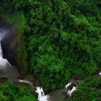 Eine von der Siam Society organisierte Tour zeigt Ihnen vom 26. – 28. November die Schönheiten des Khao Yai Nationalparks.