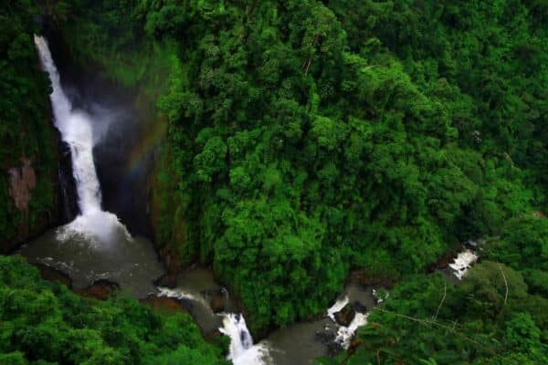 Eine von der Siam Society organisierte Tour zeigt Ihnen vom 26. – 28. November die Schönheiten des Khao Yai Nationalparks.