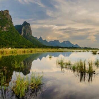 Thailand hat aufgrund der Umweltverschmutzung mit dem Erhalt seiner Umwelt zu kämpfen, doch einige Nationalparks setzen sich für den Schutz der natürlichen Schönheit des Landes ein.