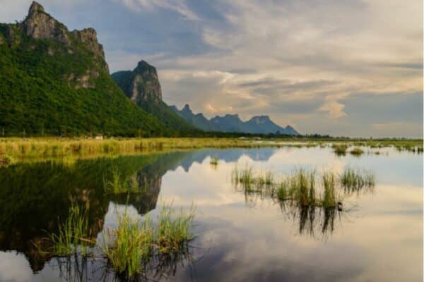 Thailand hat aufgrund der Umweltverschmutzung mit dem Erhalt seiner Umwelt zu kämpfen, doch einige Nationalparks setzen sich für den Schutz der natürlichen Schönheit des Landes ein.