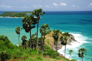 Blick auf das Promthep Cape mit Palmen und türkisblauem Meer auf Phuket, Thailand