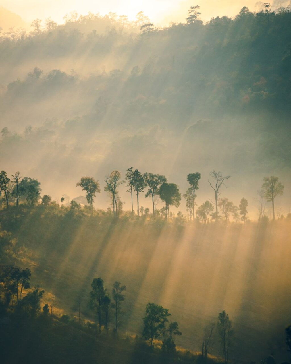 Nebelige Berglandschaft in Thailand bei Sonnenaufgang als Symbol für die beste Reisezeit