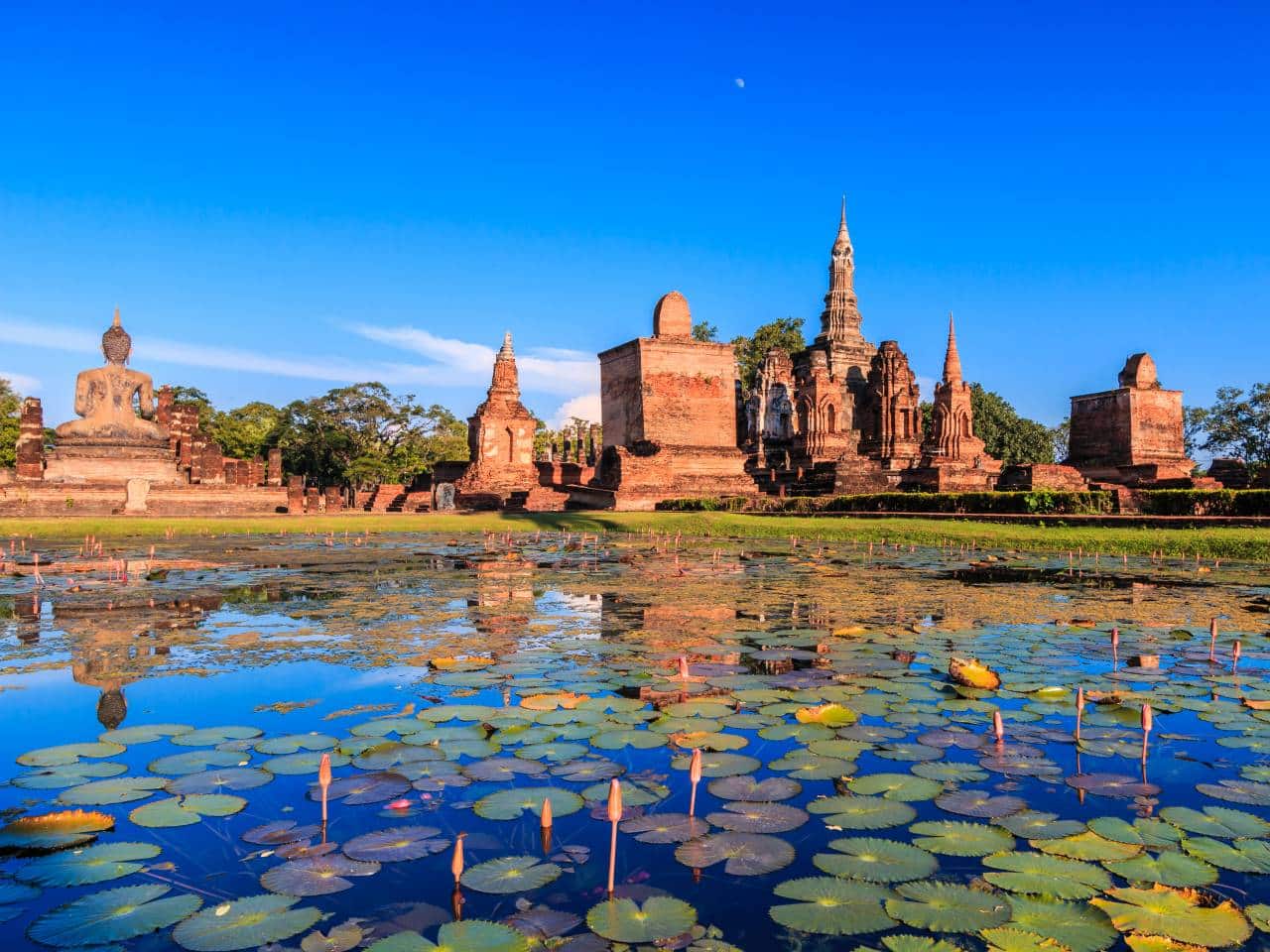 Historischer Park von Sukhothai mit Lotus-Teich während einer Loy Krathong Rundreise durch Nordthailand