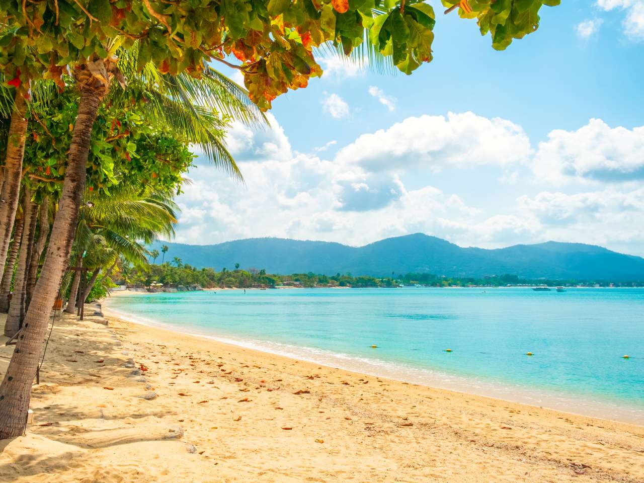 Maenam Beach auf Koh Samui mit Palmen und ruhigem Meer