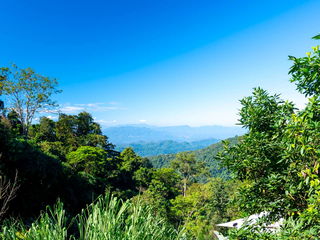 Berglandschaft im Doi Suthep Nationalpark während einer Thailand Rundreise 3 Wochen