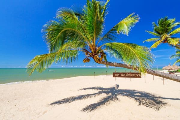 Palme über einem weißen Sandstrand mit türkisfarbenem Meer bei Khao Lak, Thailand