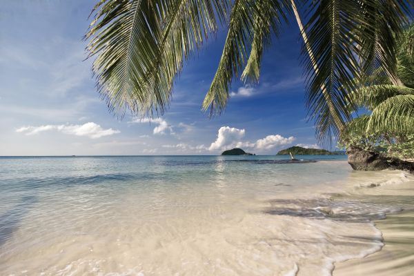 Ruhige türkisfarbene Bucht mit Palmenzweigen im Vordergrund auf Koh Chang
