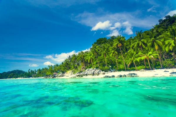 Türkisfarbenes Meer mit Felsen und Palmen an der Küste von Koh Samui